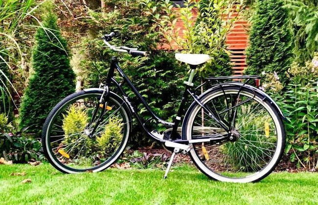 Cottage in Dlugosiodlo Near Forest Edge - Photo 43