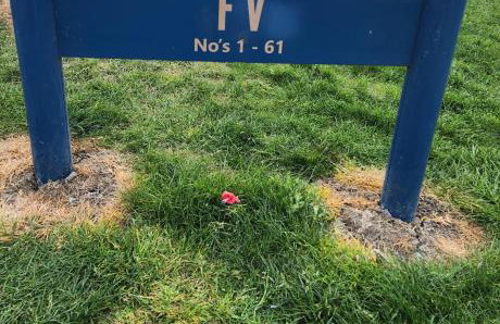 Staycation For You (Kent) - Photo 8