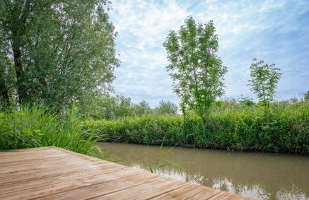 Tiny house au cœur du marais - Foto 68