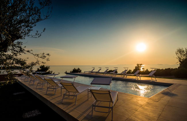 Golden Ray - Foto 17