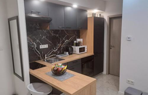 Apartman Pariz - Photo 10