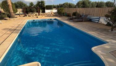 Casa Mica - Foto 3, Garden