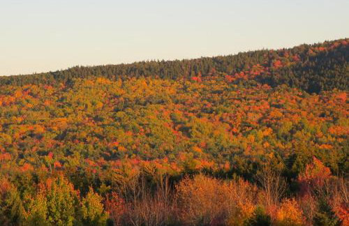 Acadia Ocean Front Garden Cottages - Foto 79