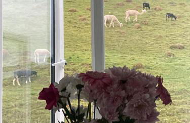 Ruby's Retreat! Farm Stay! North devon! Sleeps 6! Beaches Exmoor! - Foto 33