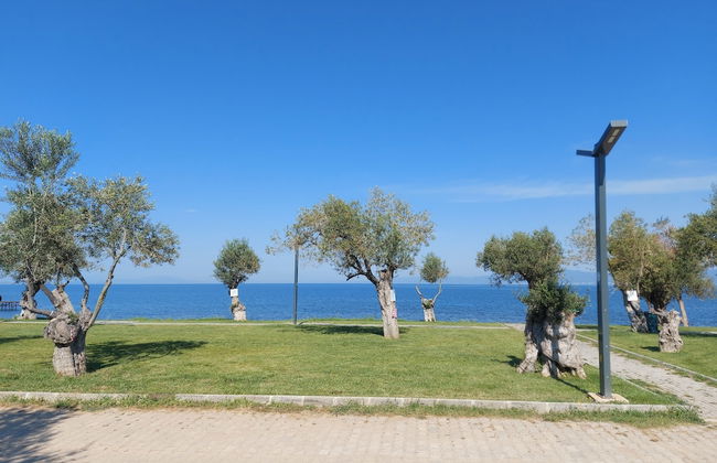 Thassos Apart Otel - Foto 24