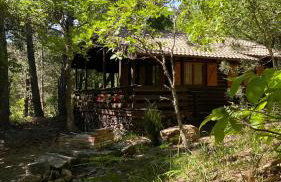 Woods Etna Chalet - Photo 42