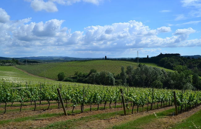 Belvilla by OYO Total Nisa - Foto 37