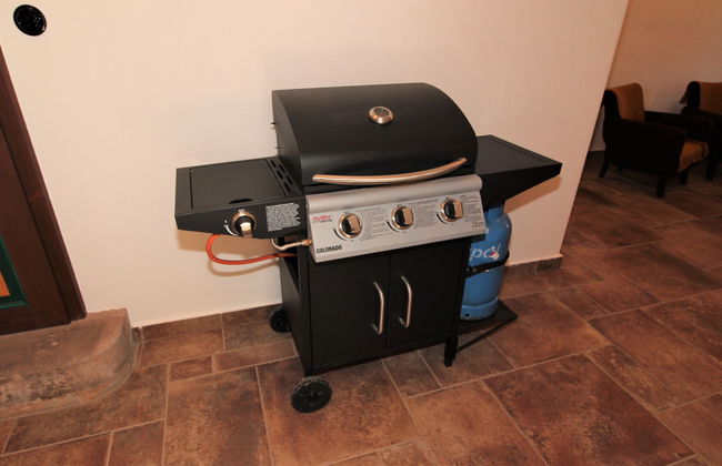 Dolní Olešnice - Foto 18