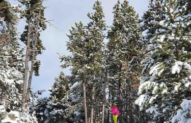 Xalet Montana - Foto 38