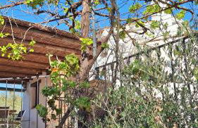 Finca el Agua da Vida (Los Eucaliptos & Los Olivos) - Foto 8