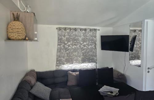 Charmant Mobil home avec piscine privative - Foto 4