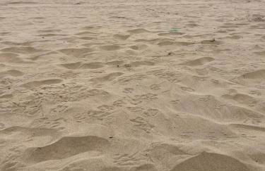 Gran Alacant bungalow vistas al mar - Photo 48