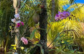 Casarão Itaipuaçu-Marica - Foto 40