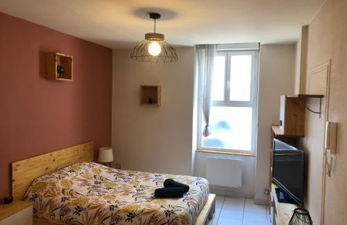 Studio centre ville et terrasse - Foto 10