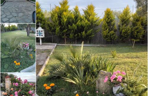 Elia by the sea - Photo 45