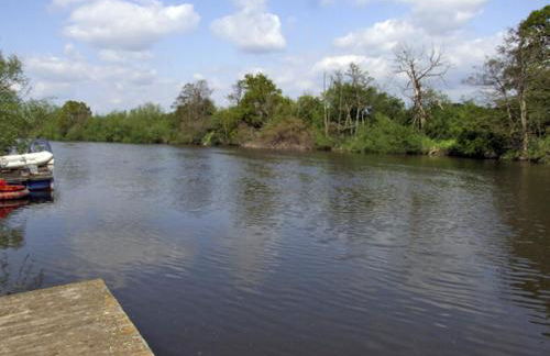 Rosewaters Cottage - Foto 16