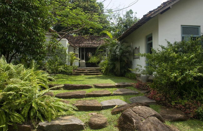 08 Acre Private Tea Estate Close To Galle - Photo 7