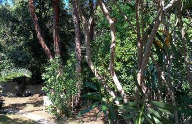 House Jasmina - Foto 8