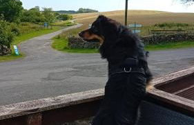 Baytree Lodge at three lochs holiday park, NEW ASK ABOUT OUR PACKAGES birthday ,anniversary,family,pamper packages available - Foto 13