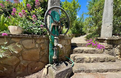 Grande maison au cœur de l'Ardèche 12 personnes - Photo 10