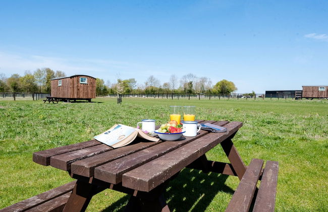 Honeysuckle Farm Hut 7 - Suffolk Farm Holidays - Foto 16