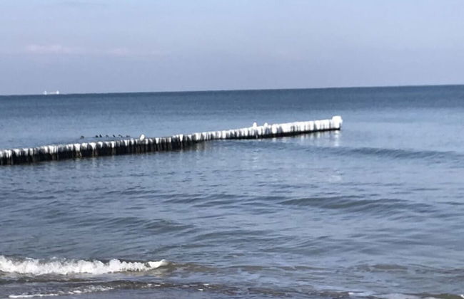 Holiday Home Windfluchter - Foto 12