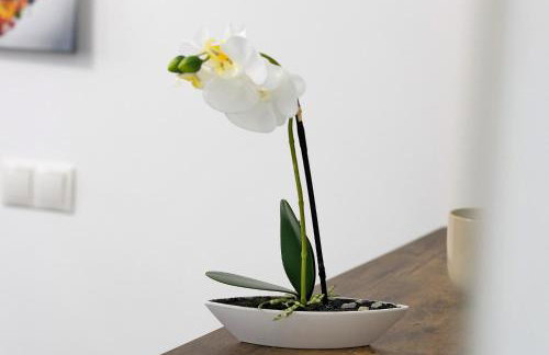 Downtown Apartments - Foto 56