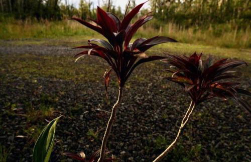 Volcano Home as seen on the Discovery Channel - Foto 23