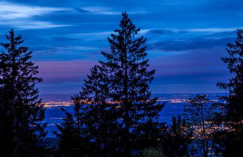 Sonnenhäusle - Natur. Fernblick. Panorama-Sauna. - Foto 76