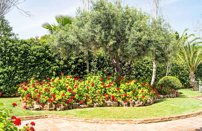 Mijas Beach - Foto 34