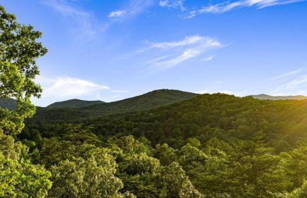 sugar mountain lodge - Foto 23