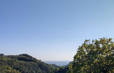 Agriturismo Cascina Capo - Foto 29