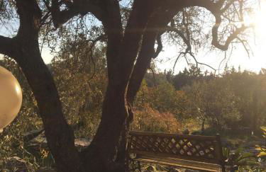 Stria House - Foto 40