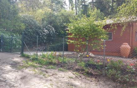 Ferienhaus in Geesthacht-Tesperhude direkt am Waldrand - Foto 17