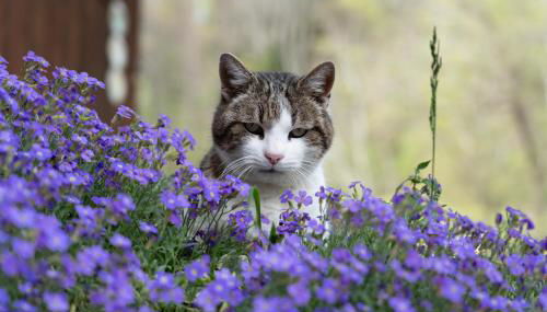 Ferienwohnung am Siglhof - Foto 4