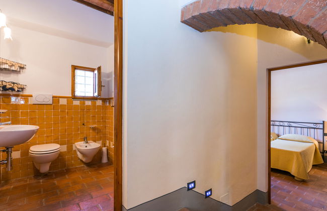 Francigena - Foto 29