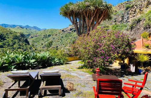 Vivelorural casa La Cuevita, Santa Brígida - Foto 41