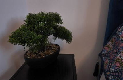 Lovett Haven Hot Tub near Bradgate Sleeps 6 - Foto 39