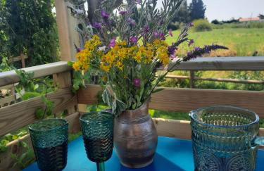 gîte grange le Kulmino - Photo 21