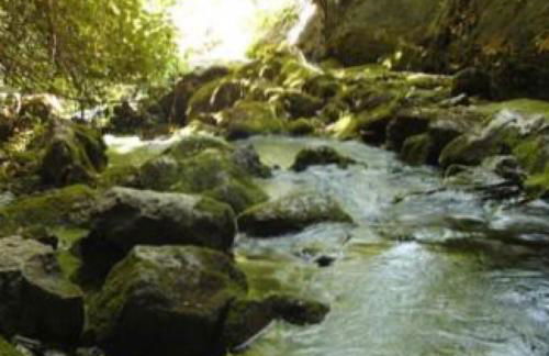 Casa las tres Conchas (2) - Foto 11