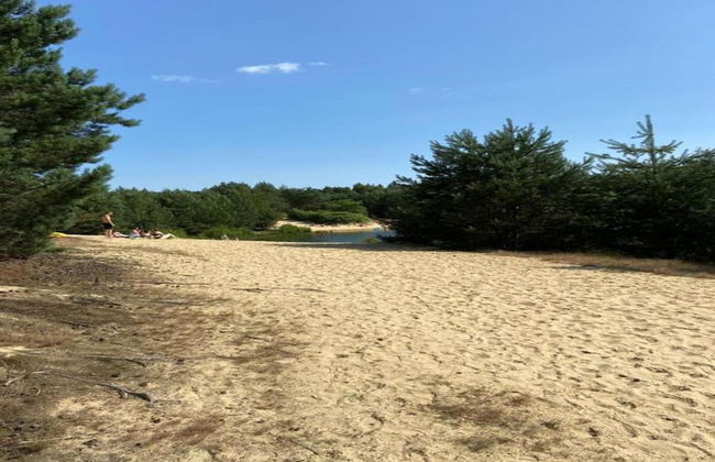 Ferienhaus Boschhuys - Foto 24