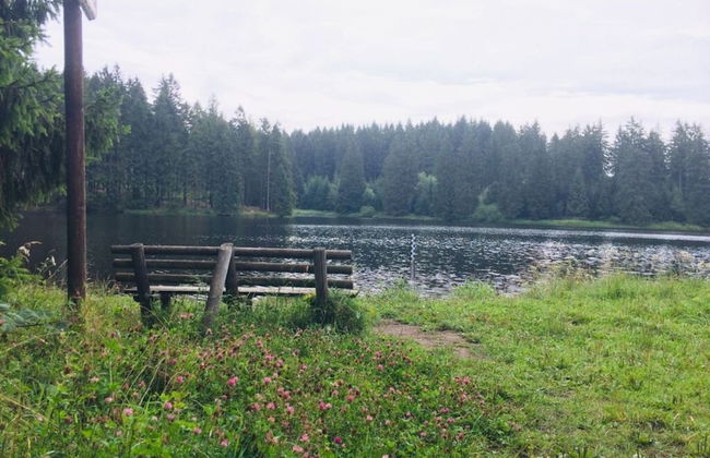 Holiday Home Harzhaus Time out - Photo 27