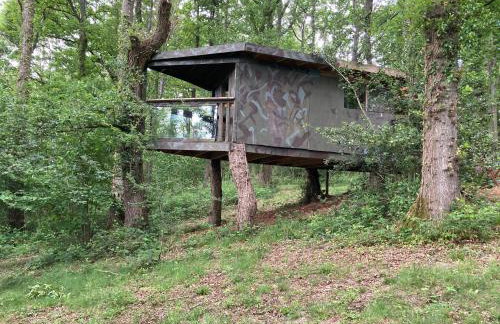 3 Guests - Pet Friendly - Grid Tree-House - Foto 13