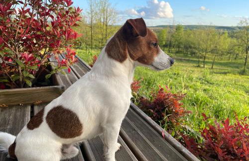 Maison écologique de qualité supérieure - Foto 7