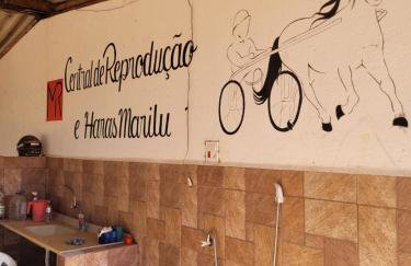 Exclusivo Haras Marilu! - Foto 44