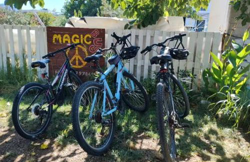 Cornelia Hippie Magic Bus - Foto 26