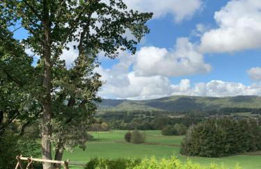 Wolfs-Blick - Foto 15