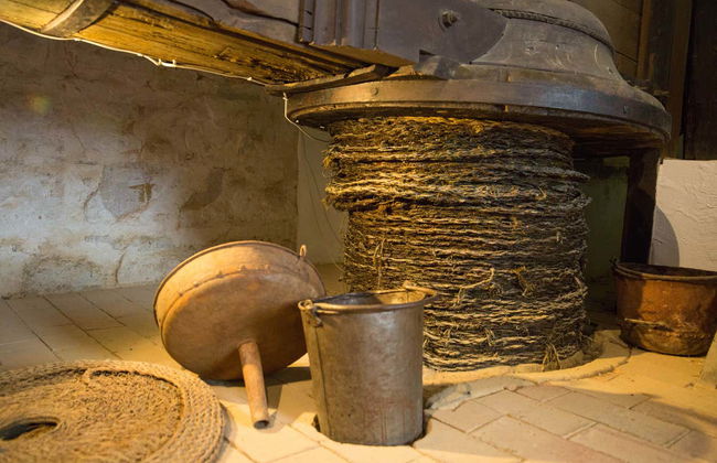 Visita guidata del Museo dell'Ulivo + Degustazione - Foto 8