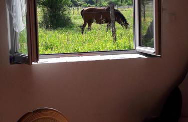 Maison De Charme - Foto 16