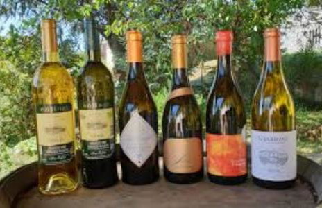 Villas Salvore & Faro - Perfect combination of nature, sea and comfort, heated pool, games room, Savudrija - Istria - Foto 69